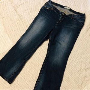 TORRID Boot Dark Wash Jeans sz 18